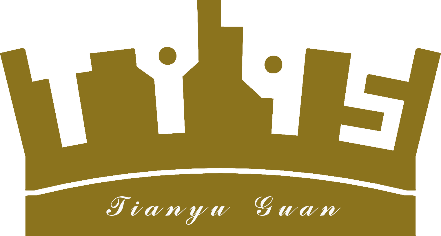 tianyujiuwu.com